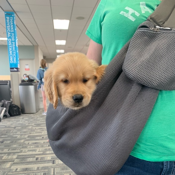 Meet your Posher, Kate - Picture 6 of 9